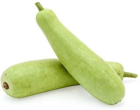 Kanaya Long Bottle Gourd Calabash Lauki Ghiya Lau Hybrid Vegetable Seed Price In India Buy