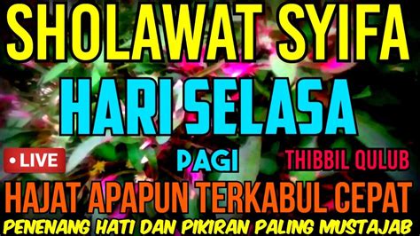 Sholawat Syifa Thibbil Qulub Hari Selasa Pagi Penenang Hati Dan