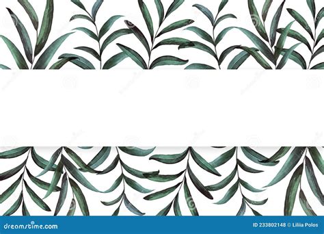 Botanical Frame With Hand Painted Watercolor Green Leaves On White Background Rectangle Stock