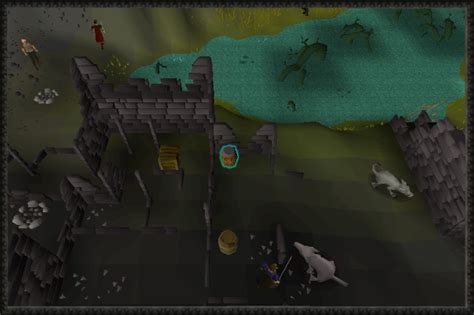 Treasure Trails Medium Clue Guide Roat Pkz