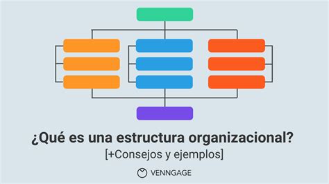 Qué es una estructura organizacional Consejos y ejemplos Hot Sex