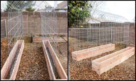 53 Tomato Trellis Designs Completely Free Building A Raised Garden Tomato Trellis Garden Boxes