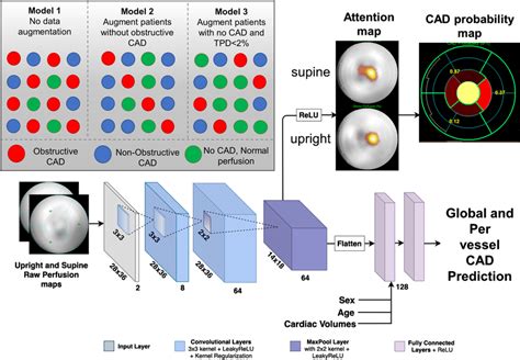 Deep Learning Model Architecture The Raw Polar Maps Were Input To The