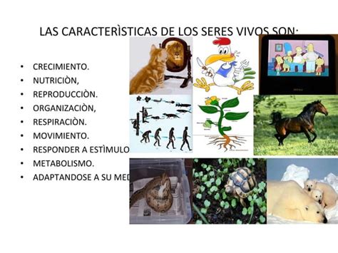 LA BIODIVERSIDAD RESULTADO DE LA EVOLUCIÓN PPT