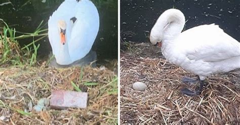 Saker Kvinnor G R Efter Sex Men Aldrig Vill Erk Nna Nuntium Se