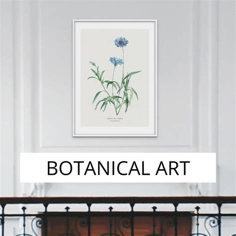 Botanical Wall Art Prints and Flower Wall Art - Beach House Art