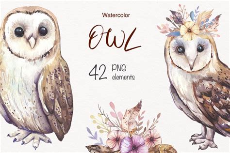 Watercolor Boho Owls Feathers Flowers And Leaves