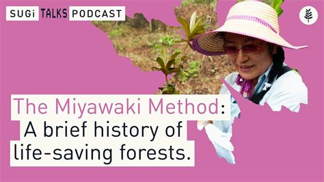 The Miyawaki Method A Brief History Of Life Saving Forests