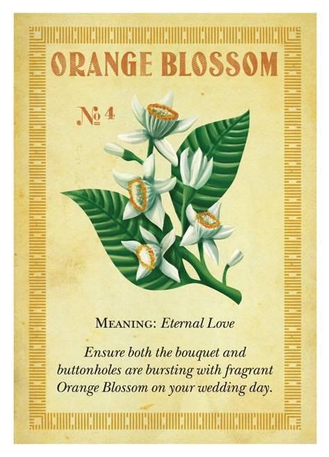 Penhaligons Floriography Card No 4 Orange Blossom Flower Meanings