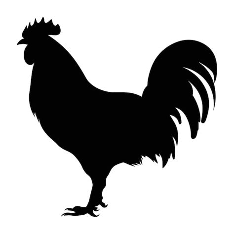 Premium Vector Chicken Silhouette Hen Silhouette Isolated Vector