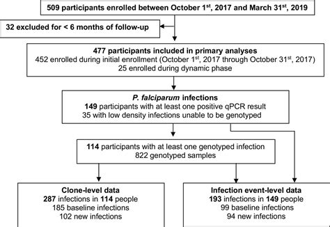 Figures And Data In Sex Based Differences In Clearance Of Chronic Plasmodium Falciparum