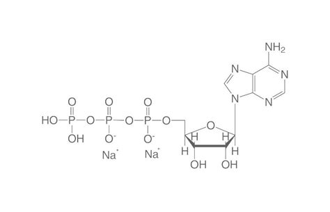 Adenosin Triphosphate Disodium Salt Atp