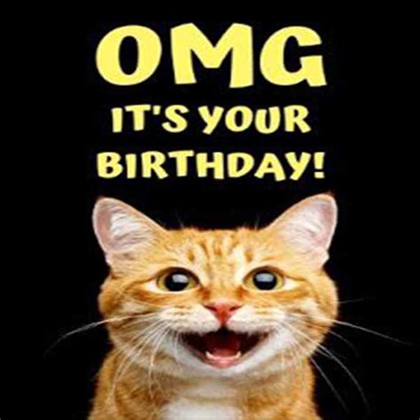 Happy Birthday Images For Her Free Funny | Melissarene Princess