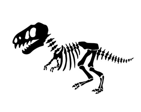 Premium Vector Vector Illustration With Dinosaur Skeleton Isolated On