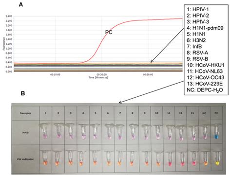 Rapid And Convenient Detection Of Sars Cov Using A Colorimetric