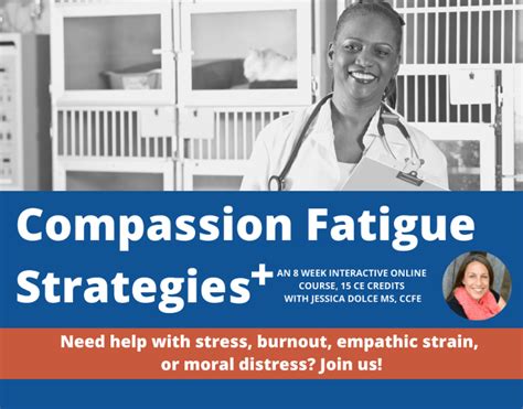 Compassion Fatigue Strategies Plus Shelter Medicine Program College Of Veterinary Medicine