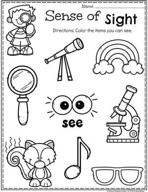 5 Senses Sight Worksheet