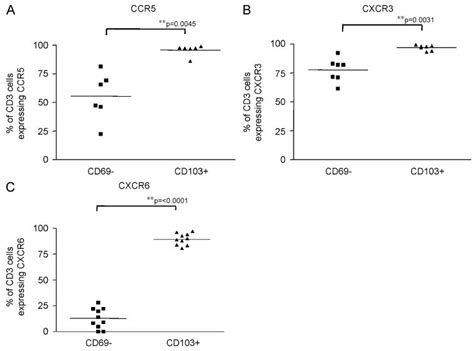 CXCR6 Identifies A Putative Population Of Retained Human Lung T Cells