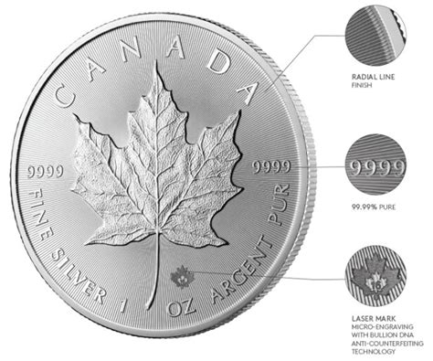 10x New silver Maple Leaf coin 2017 - Catawiki