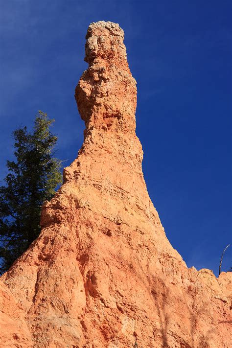 Bryce Canyon Pillar Photograph By Aidan Moran Fine Art America