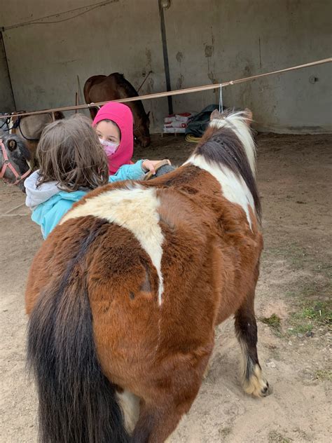 Les petits cavaliers en herbe École élémentaire Lamartine La Clayette