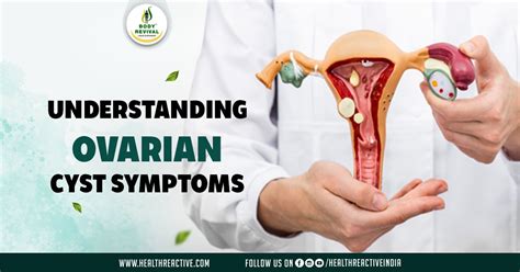 Common Ovarian Cyst Symptoms Health Reactive Body Revival