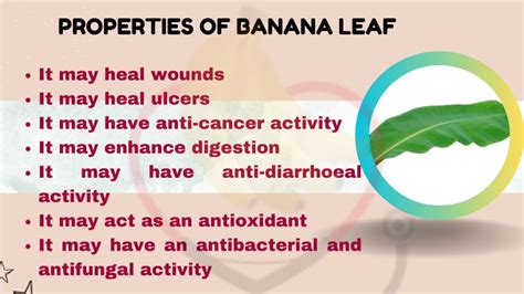 Benefits Of Banana Leaves Banana Dose