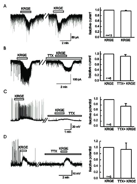 The Korean Red Ginseng Extract Krge Induces Non Desensitizing Inward