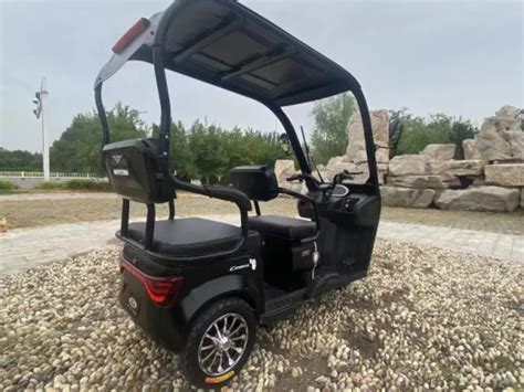 Elderly Mini Electric Three Wheel Motorcycle with Roof 3 Wheel Tricycle ...