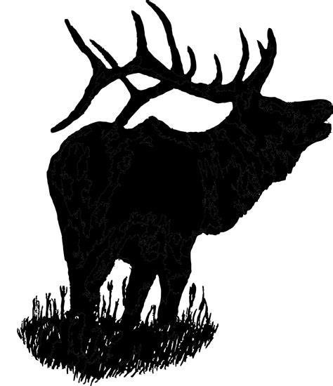 Bulletin Resources California Hawaii Elks Association