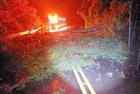 雨炸山區！中橫33k樹倒躺路中央 谷關警緊急交管 社會 中時