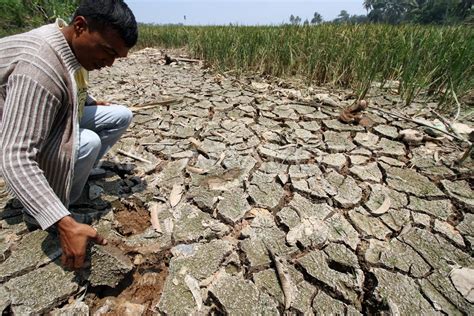 KEKERINGAN DI ACEH ANTARA Foto