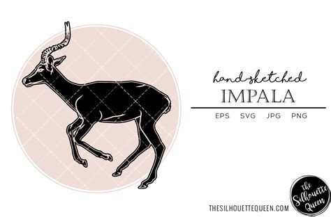 Impala Sketch Vector Graphic By Thesilhouettequeenshop · Creative Fabrica