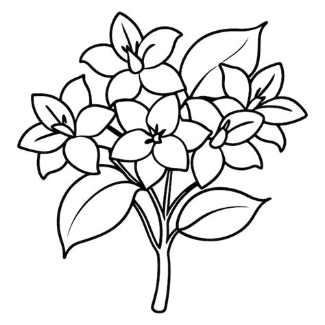 Conjunto De Diferentes Lienzos De Flores Sobre Un Fondo Blanco Vector