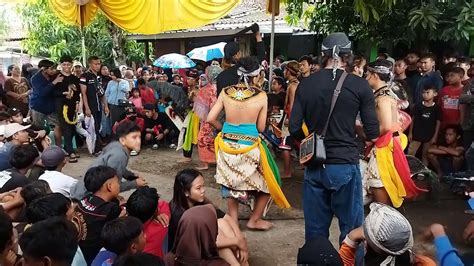 Jaran Kepang Putra Singo Budhoyo Jati Manunggal Live Purworejo