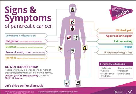 Pancreatic Cancer