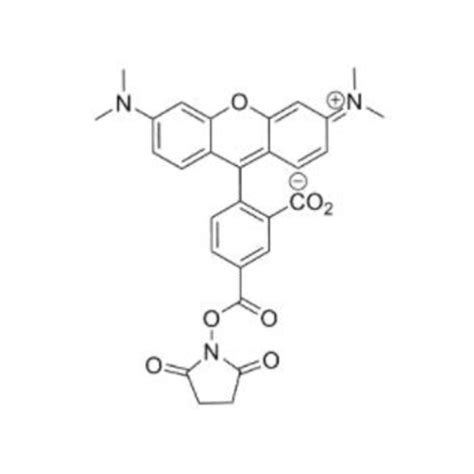 常规用于蛋白质染色的橙色荧光染料，5 羧基四甲基罗丹明， 5 Tamra Se，150810 68 7 哔哩哔哩