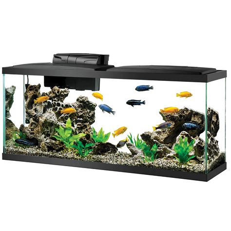 Aqueon 40 Gallon Tank Dimensions Bruin Blog