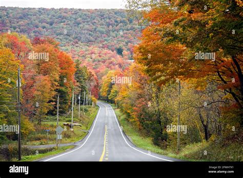 Canaan valley wv hi-res stock photography and images - Alamy