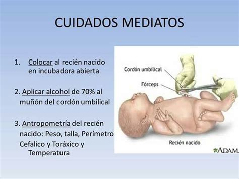 Recien Nacido Cuidados Mediatos Notas De Enfermer A Escuelas De