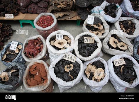 Qingping mushrooms hi-res stock photography and images - Alamy