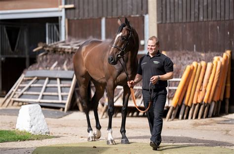 Racing Post On Twitter Constitution Hill Altior Shishkin And Jonbon