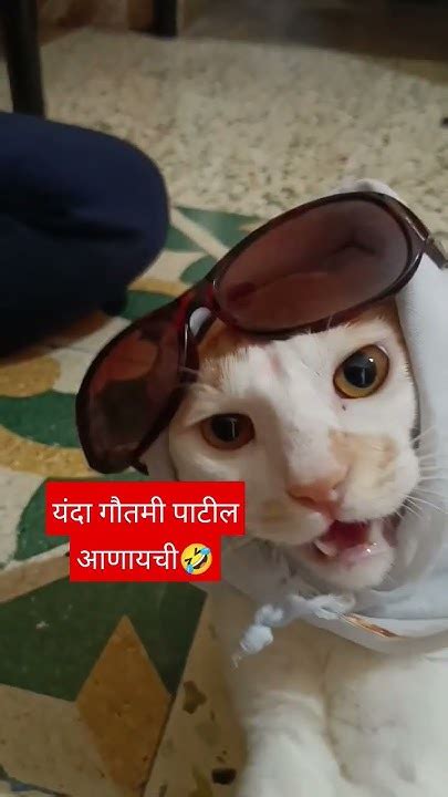 पाच गुंठे विकायची पण गौतमी पाटिल आणायची🤣🤣 हसुन पोट सुजणार 🤣बंडुबबडी