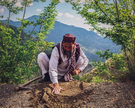 Our ‘forest heroes’ saving Green Pakistan: PM - AikQaum