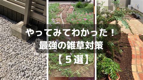 やってわかった！最強の雑草対策【5選】デメリットを知ってオシャレで使いやすい庭にdiy うさぎの調べ