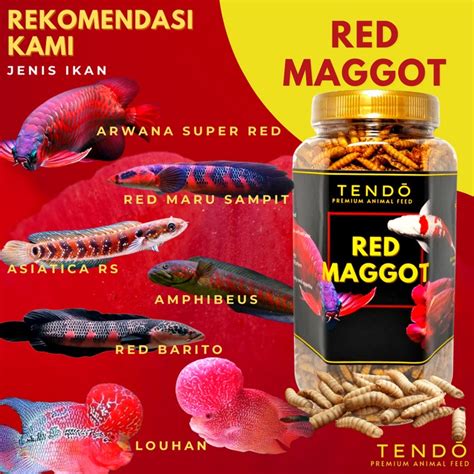 Jual NEW Maggot BSF Maggot Kering Pakan Makanan Ikan Koi Predator