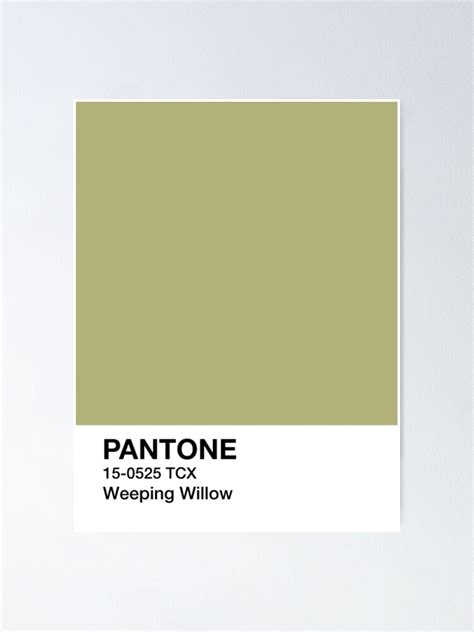 Pantone Weeping Willow Green Poster For Sale By Mushroom Gorge