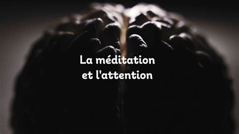 La méditation et l attention Masterclass Méditation impact sur le