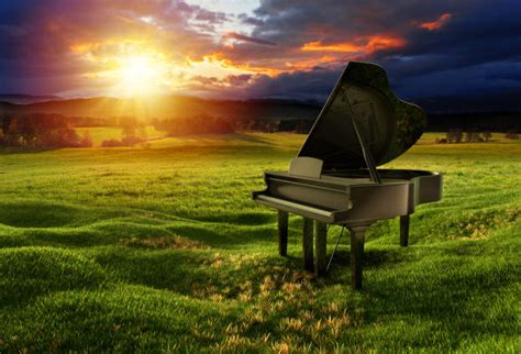 5900 Piano Outdoor Stock Photos Pictures And Royalty Free Images Istock