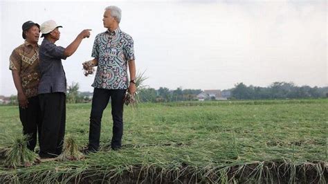 Ganjar Pranowo Dorong Petani Bawang Brebes Go Organik Tribunjateng